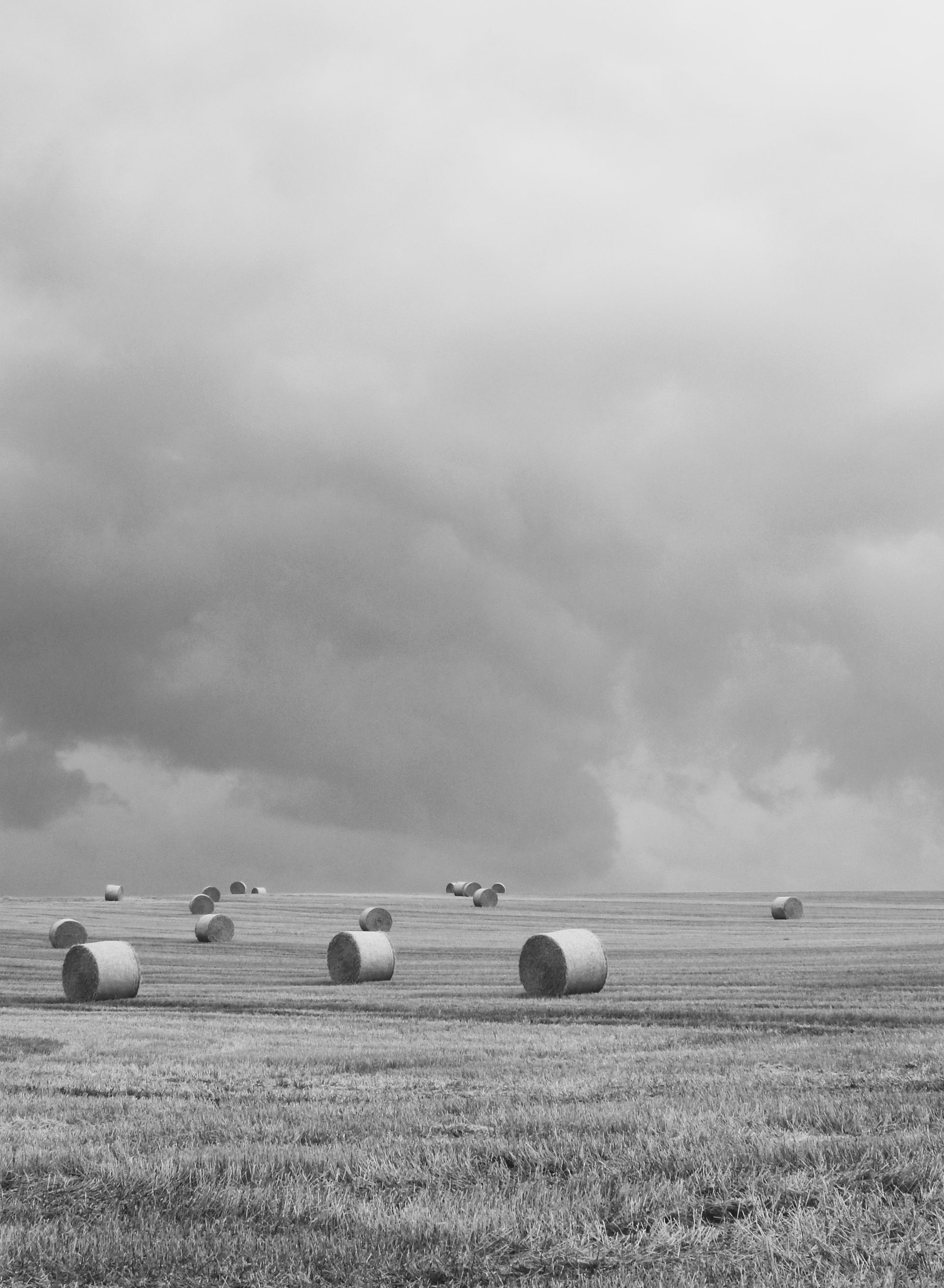A black and white photo of hay bales in a field.