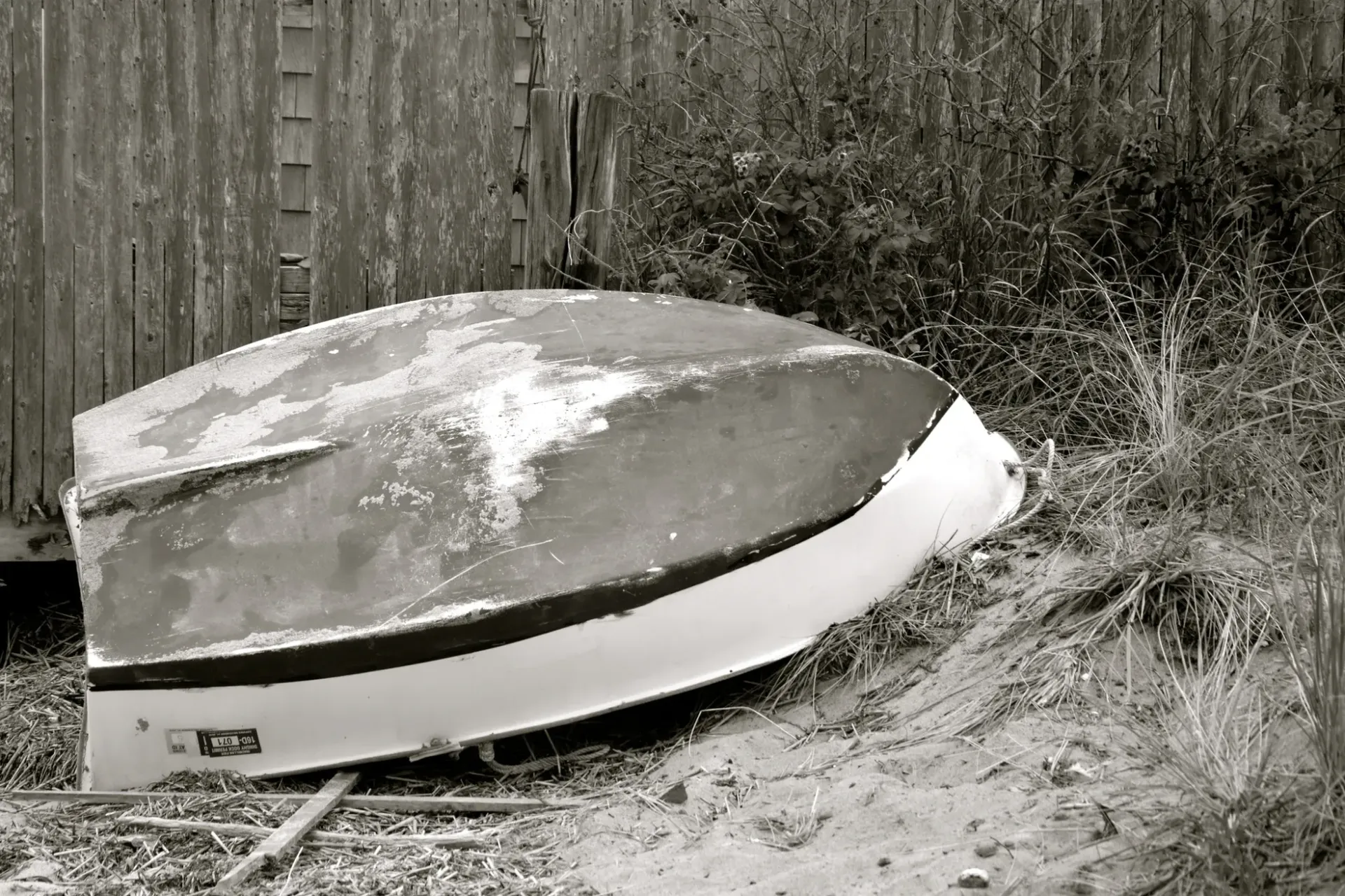 Laurence Sachs Angel Foods.jpg