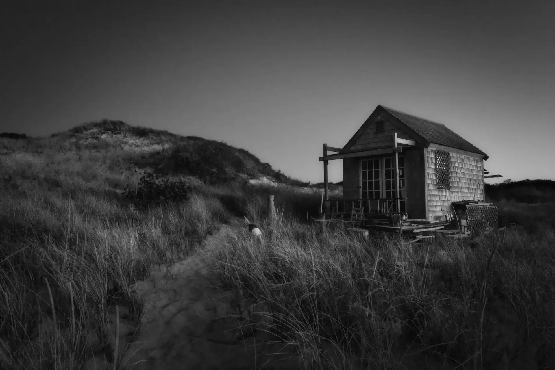 Michael Mondville Dune Shack of Peaked Hill.jpg