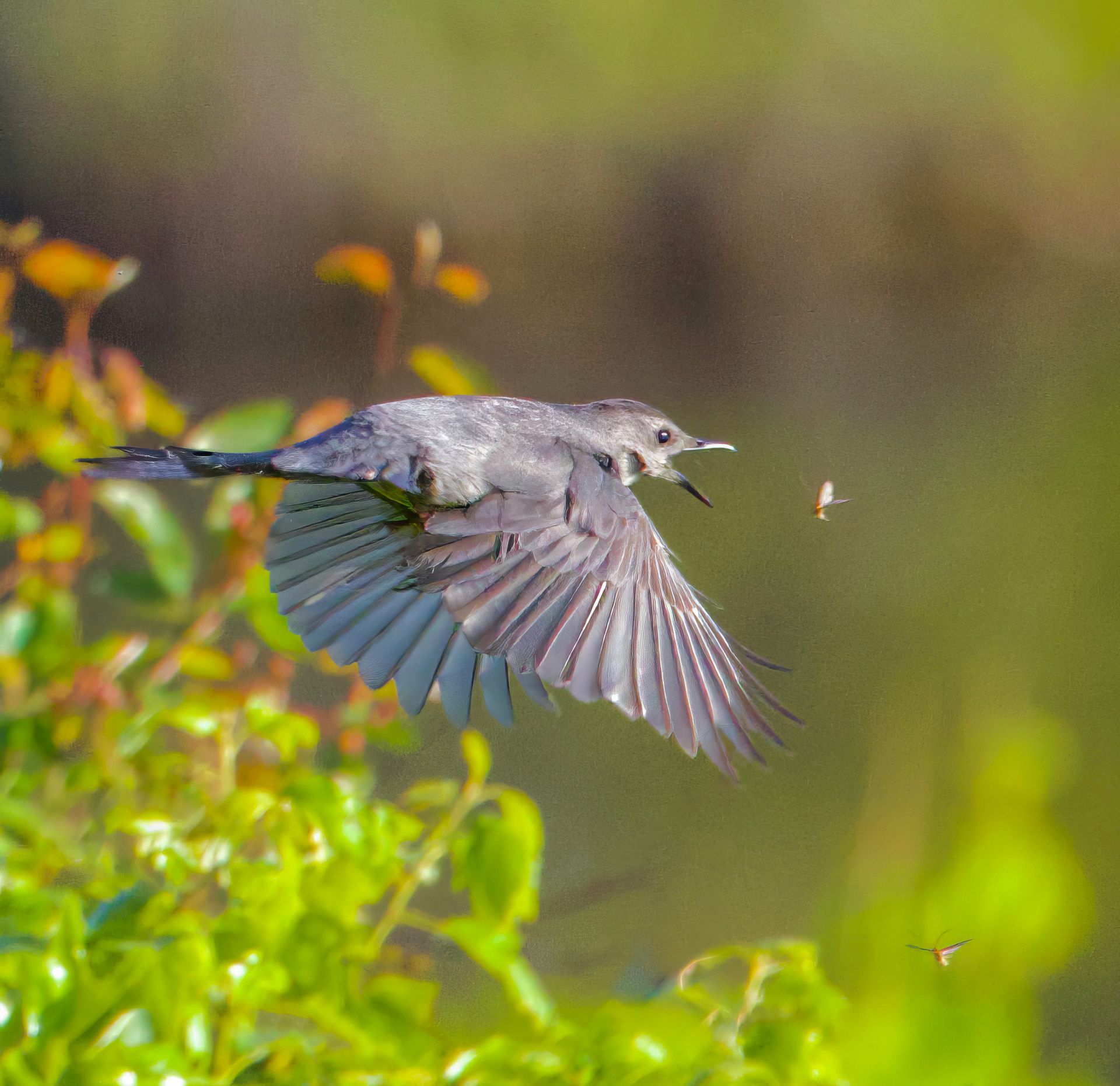a bird is flying with a bug in its beak