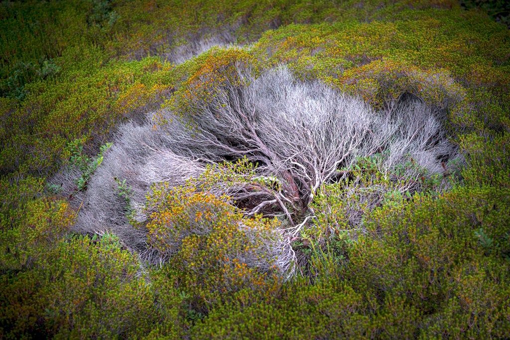 Marconi Beach - Judge's Award