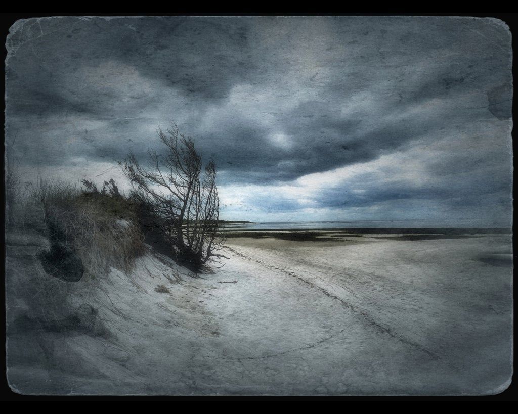 Wing Island Winter - Judge's Award