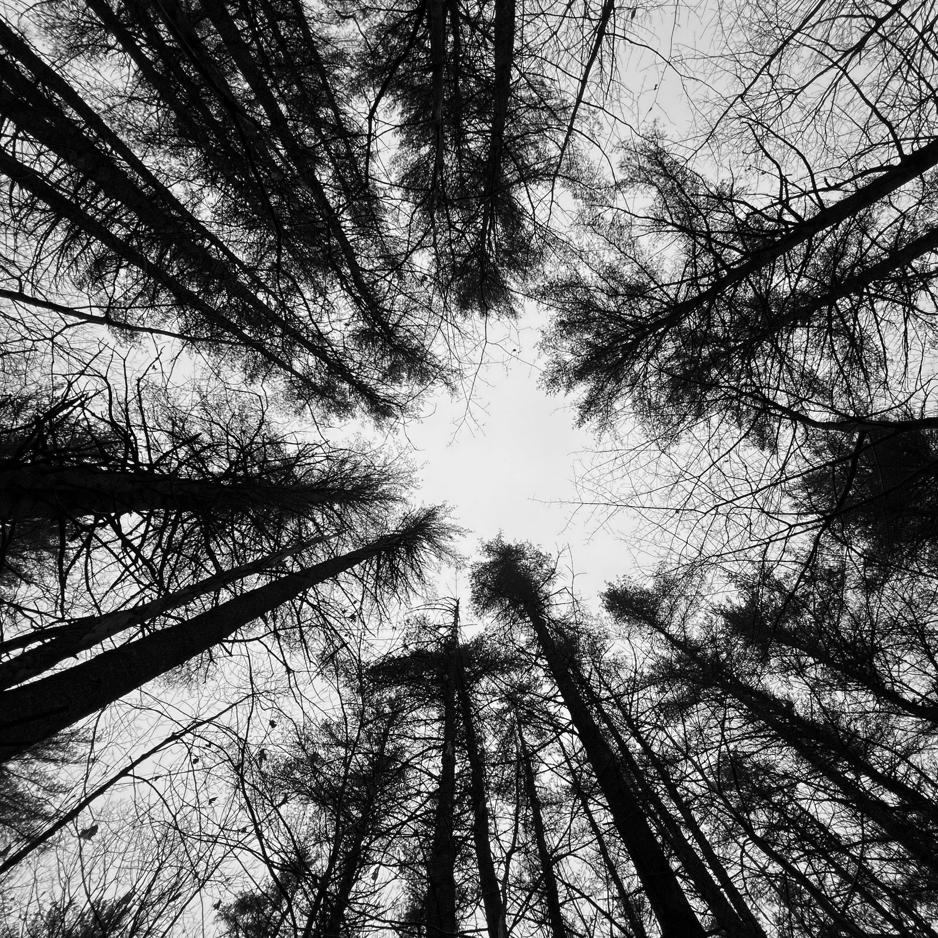 a person is standing in front of a teepee in a park .
