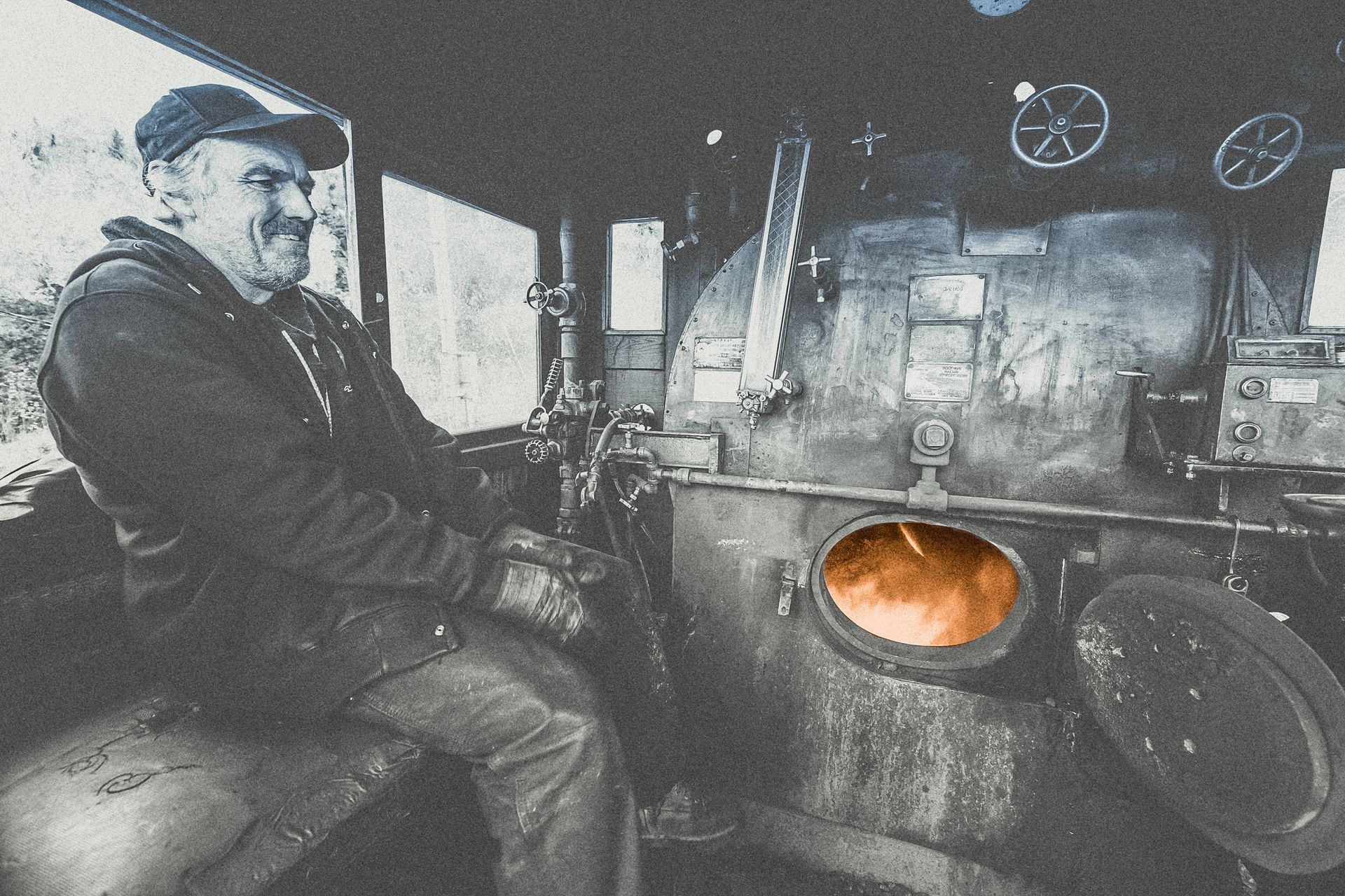 a bunch of purple flowers are growing out of the ground