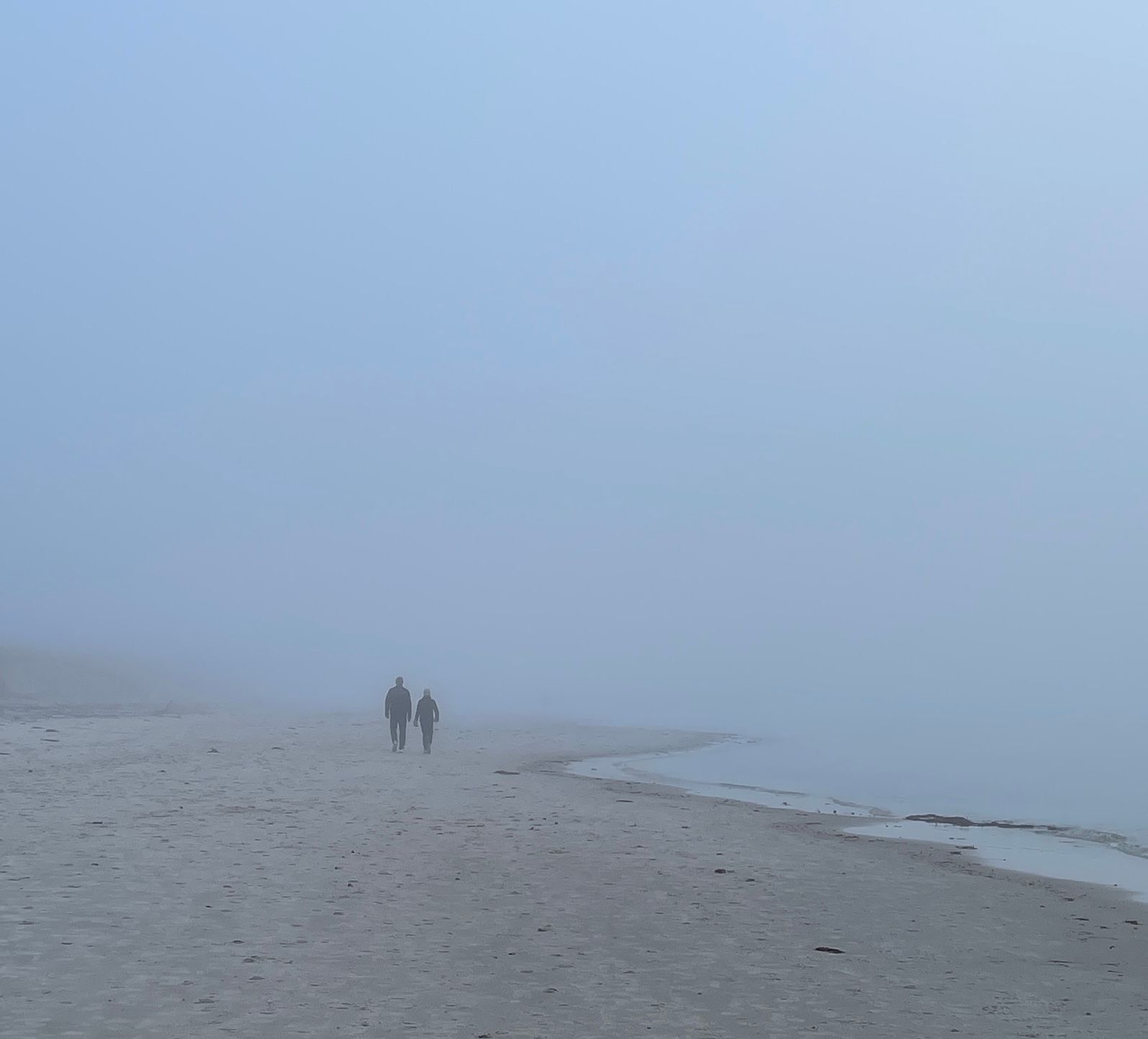 two people are walking on a foggy beach .