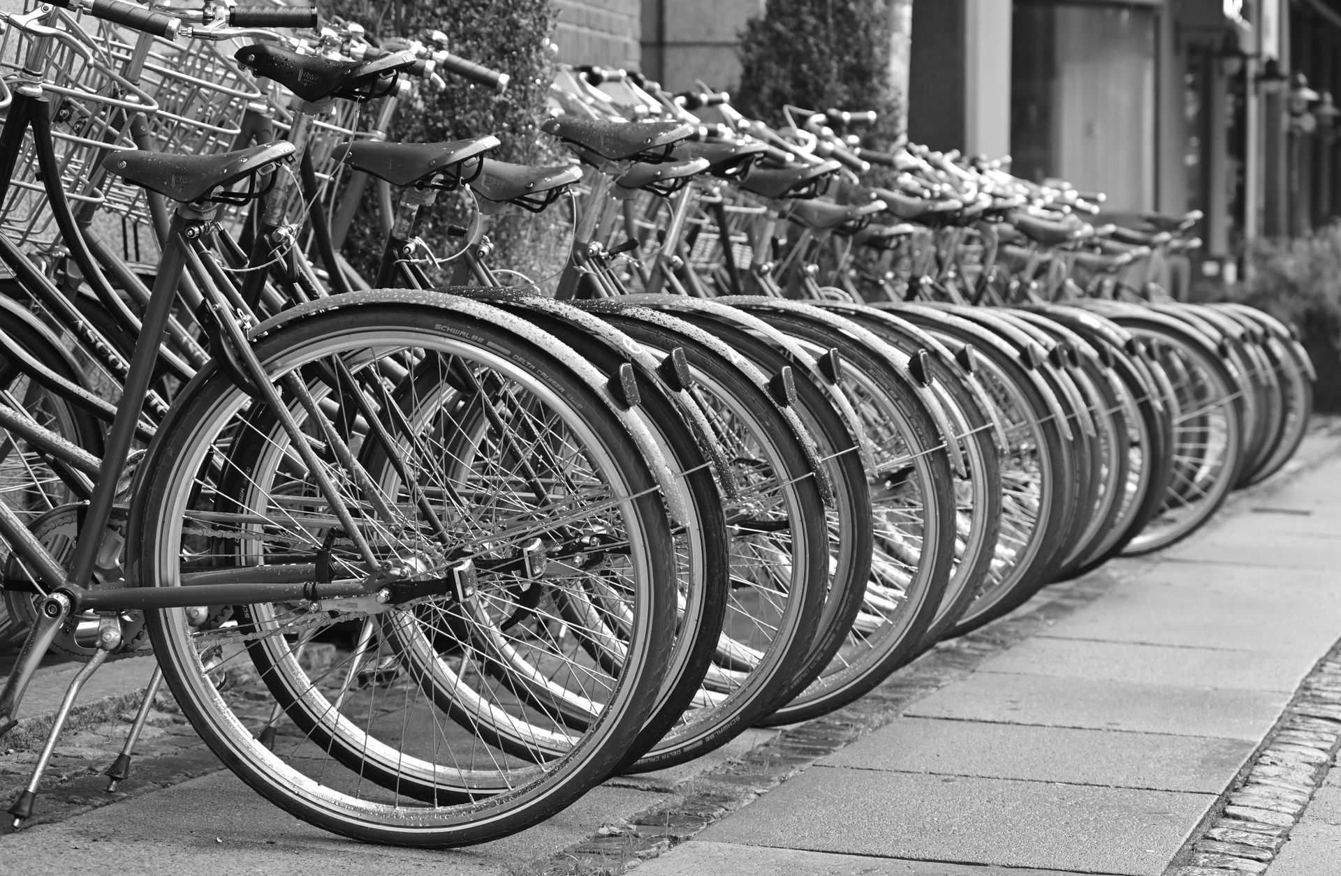 A black and white photo of a row of bicycles parked on a sidewalk.