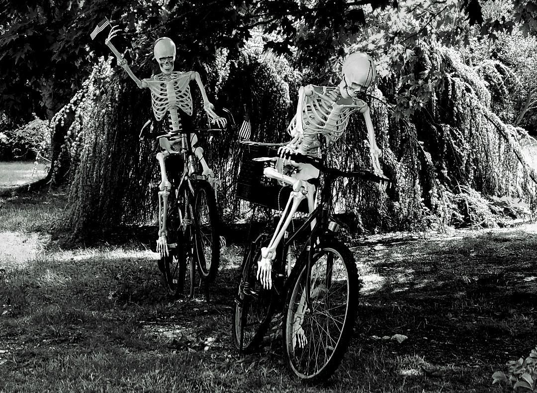 Two skeletons are riding bicycles in a black and white photo.