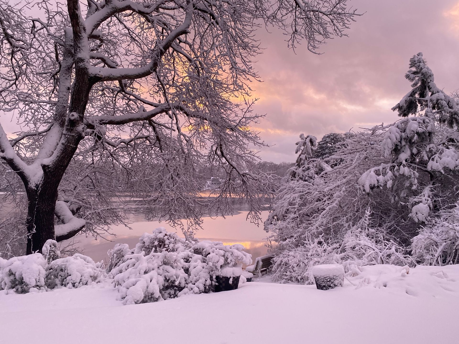 a snowy forest with trees covered in snow and a lake in the background .