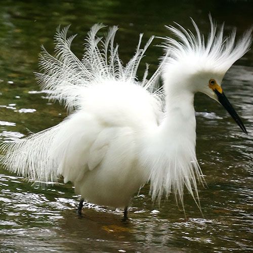 YOUR FAVORITE PHOTO 2023