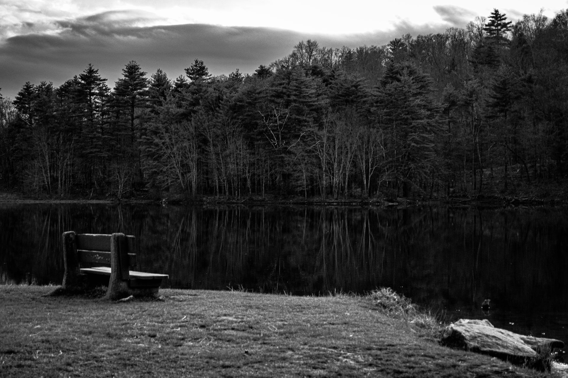 A black and white photo of a lake with trees in the background