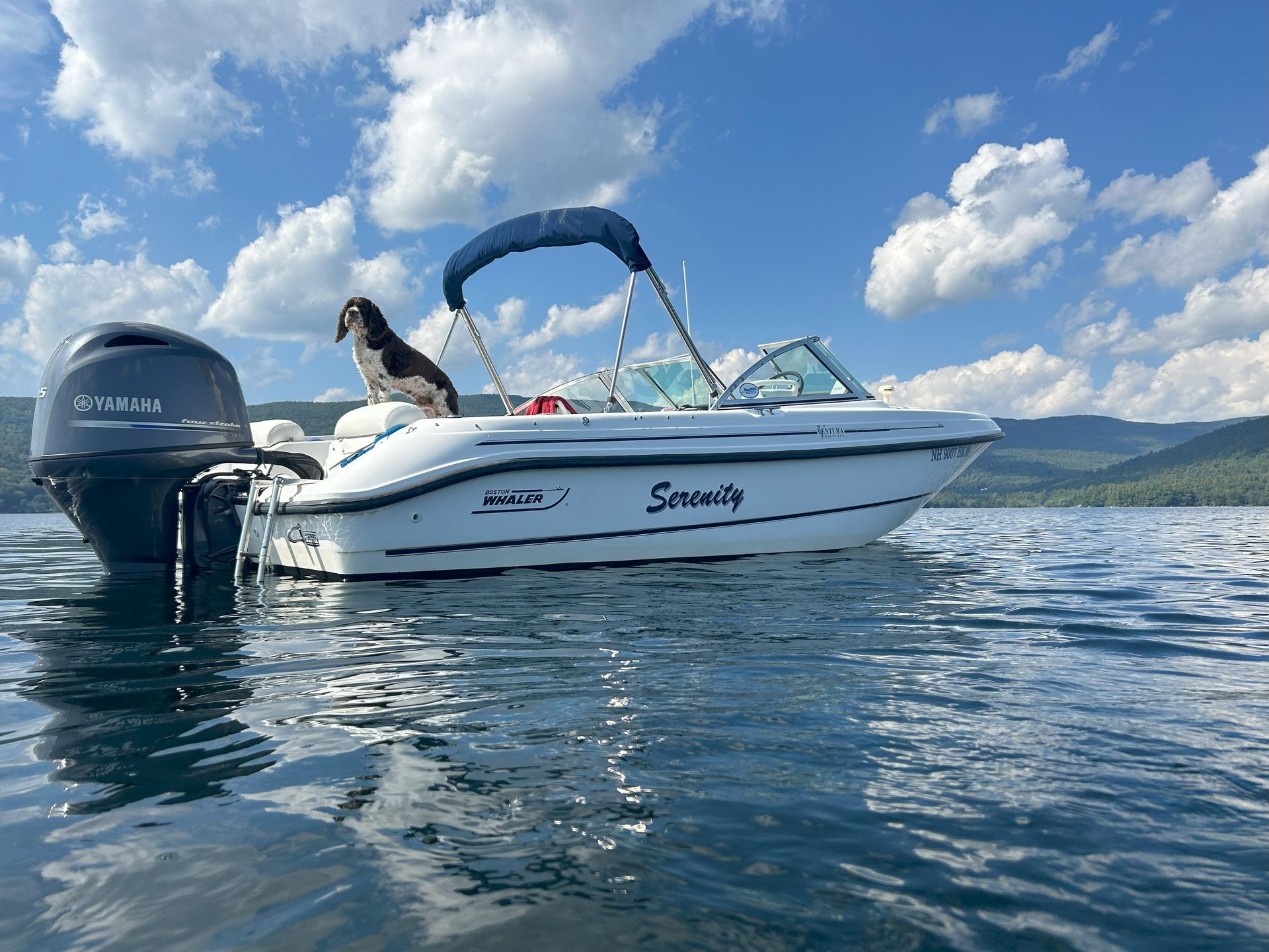 a dog is sitting on top of a boat in the water .