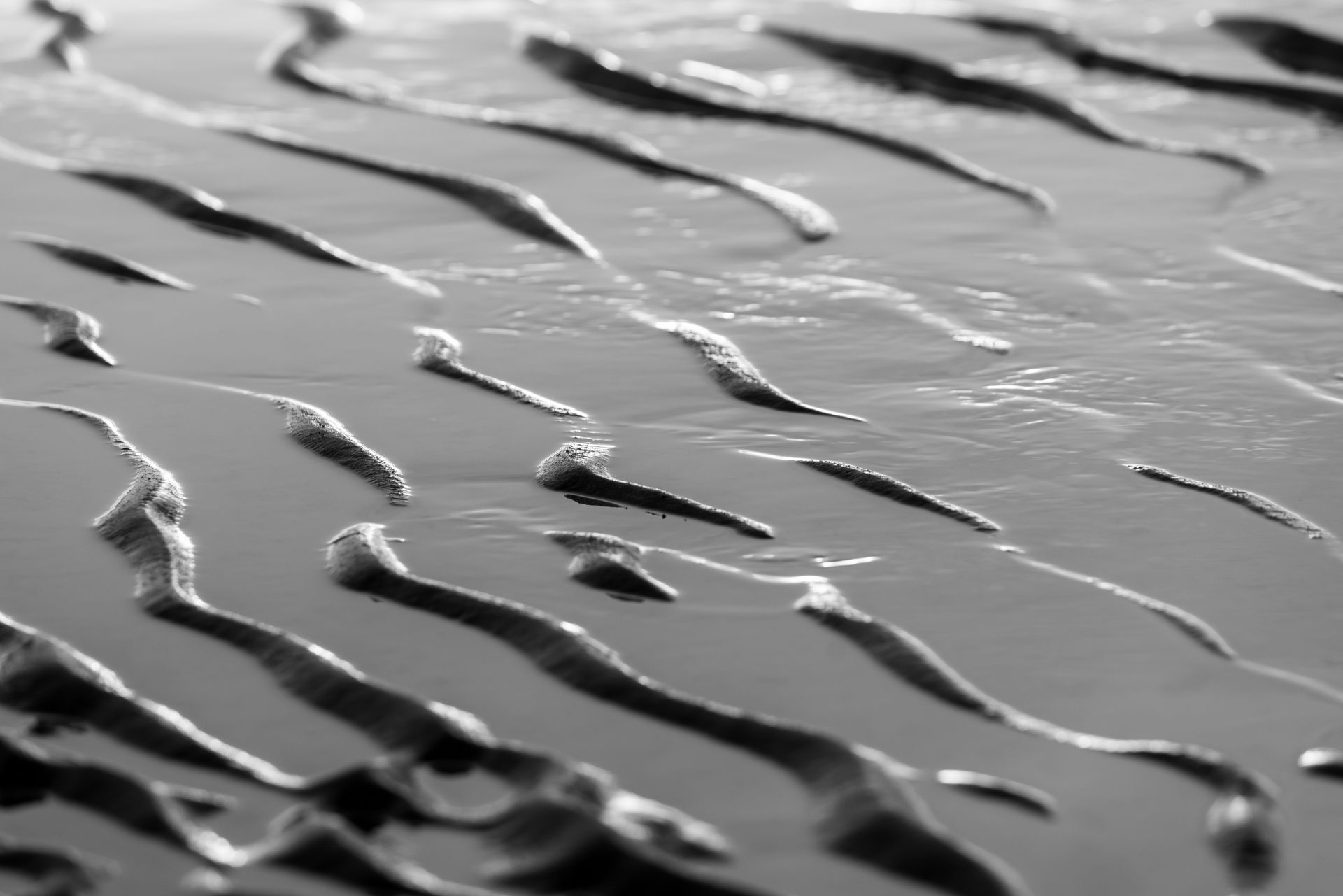 A black and white photo of waves on a beach