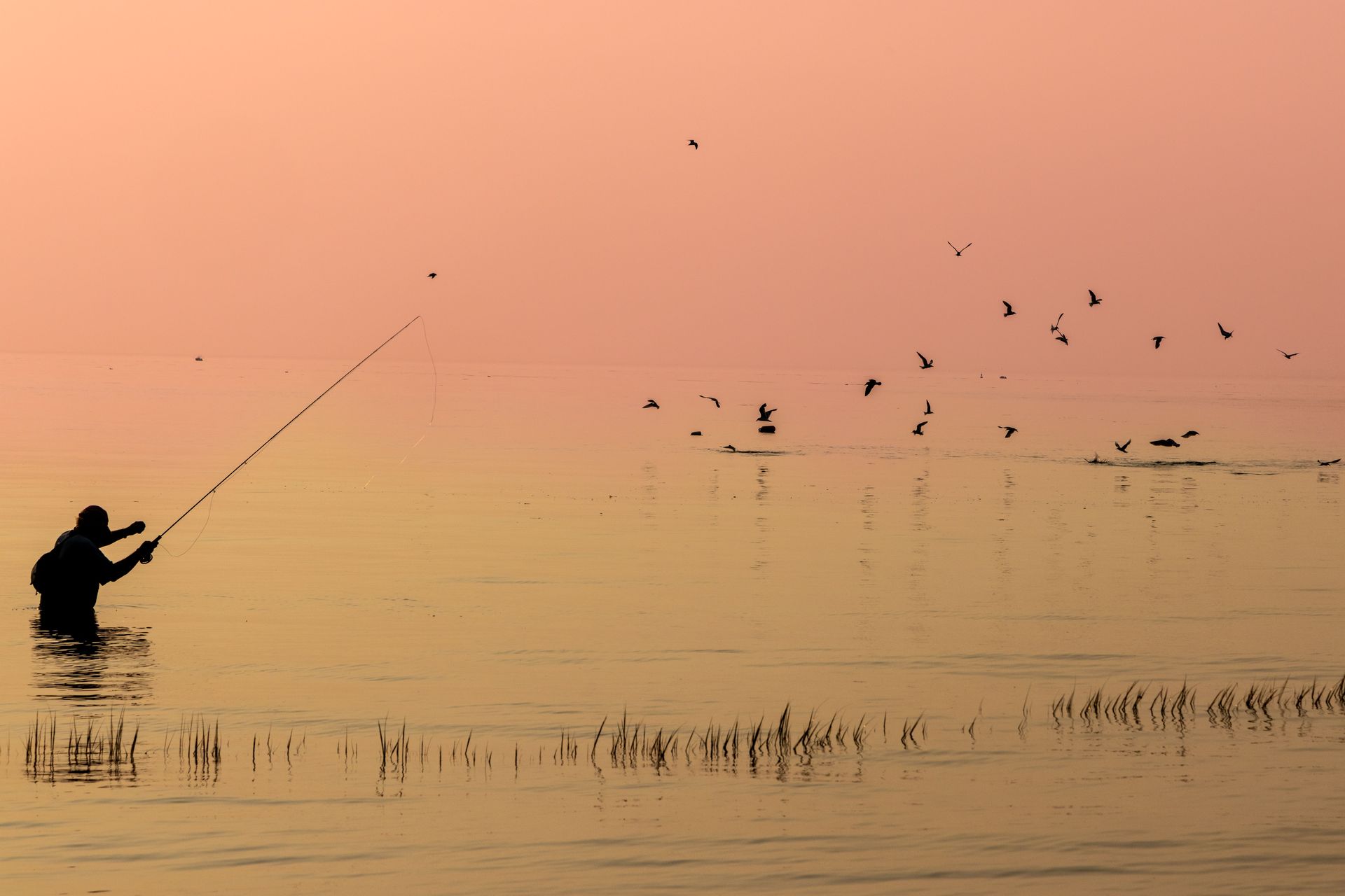 Everybody Fishing at Dusk - 1st Place