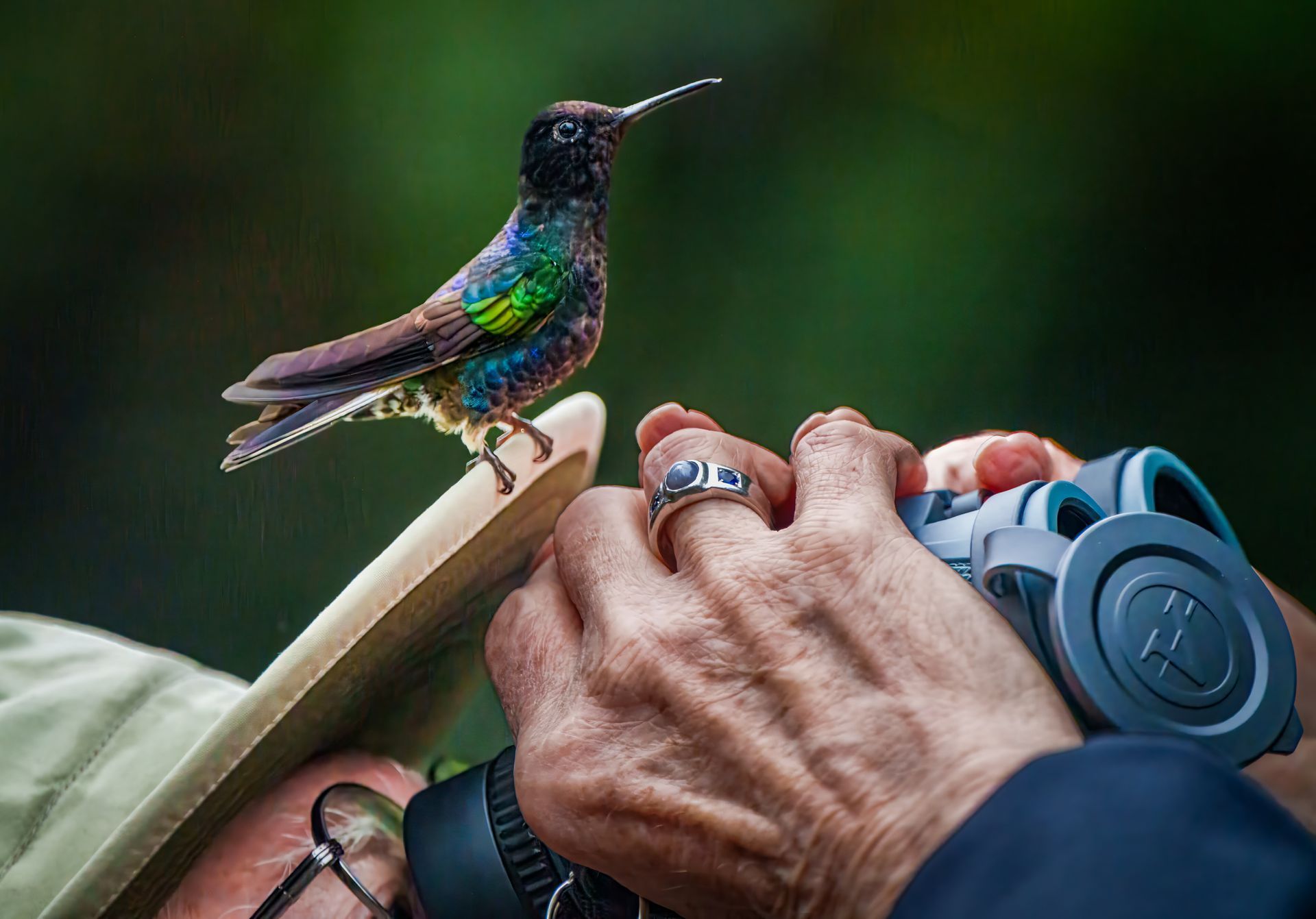 a person is holding a pair of binoculars and a hummingbird is perched on their finger .