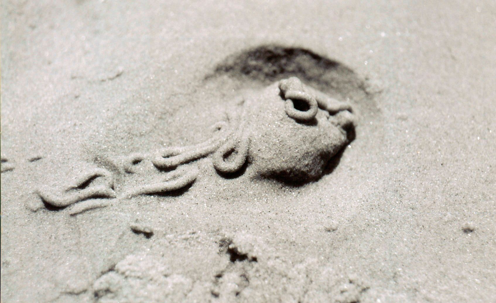 A black and white photo of a person laying in the sand.