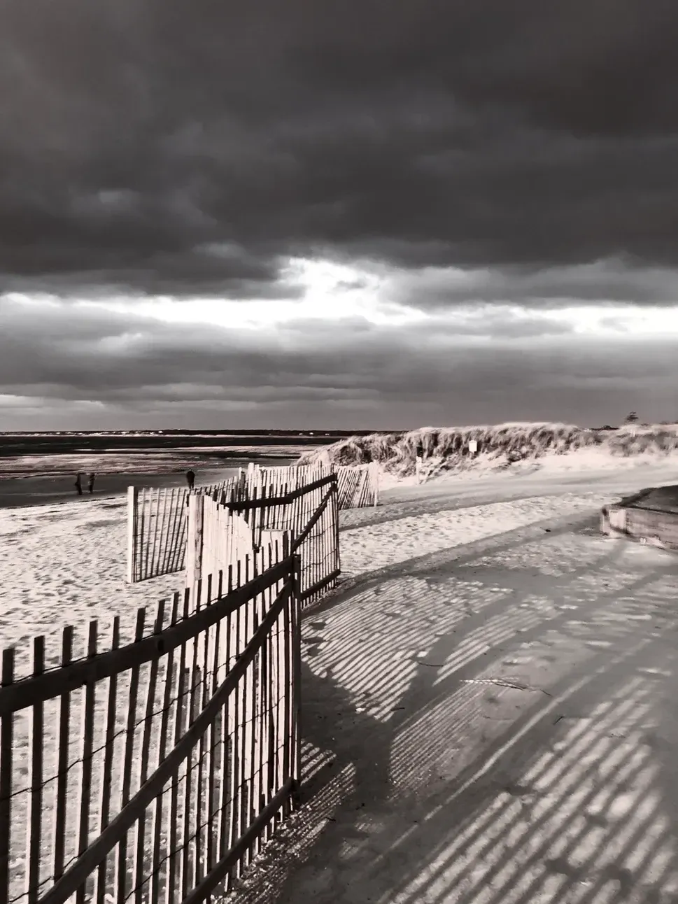 John Shea Neuschwanstein Castle.jpg
