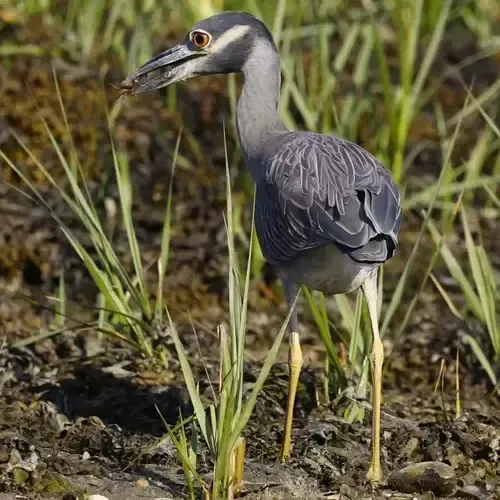 The Artistry of Observation - Kimberly Robbins