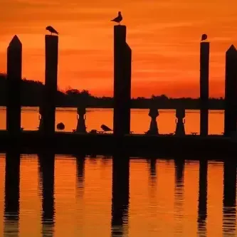 Your Favorite Photos of 2020