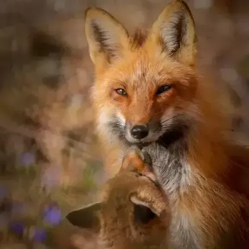 Your Favorite Photos of 2021