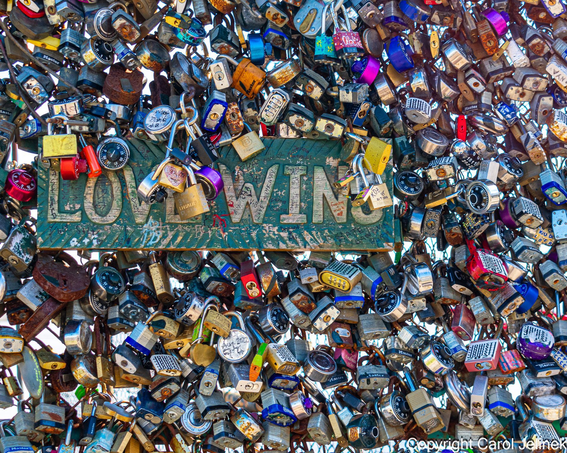 a sign that says love wins is surrounded by padlocks