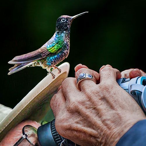 Greg Anderson Through My Lens