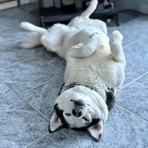 YOUR FAVORITE PHOTO 2025