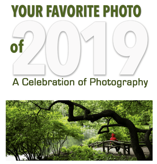 A poster that says your favorite photo of 2019 a celebration of photography