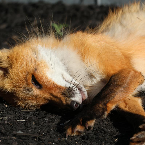 Your Favorite Photo 2024