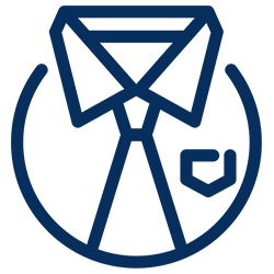 Icona - Professionalità