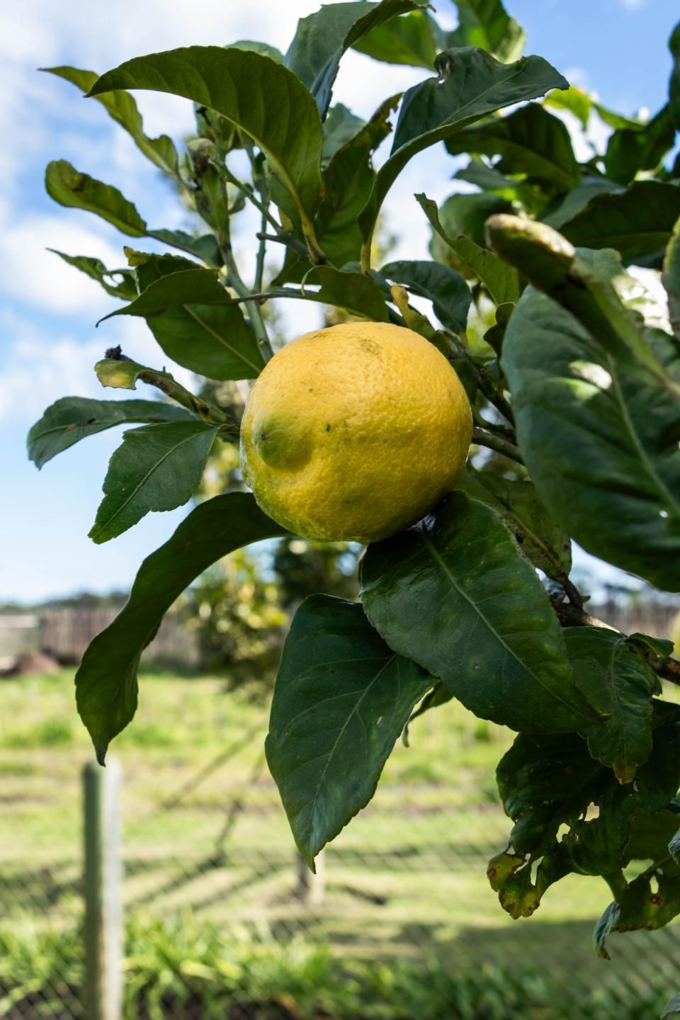 Little House on the Prairie