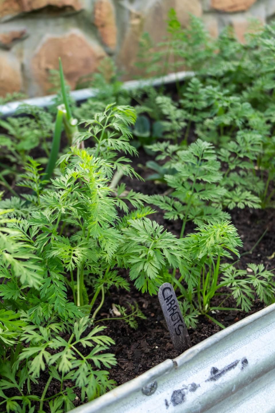 Little House on the Prairie