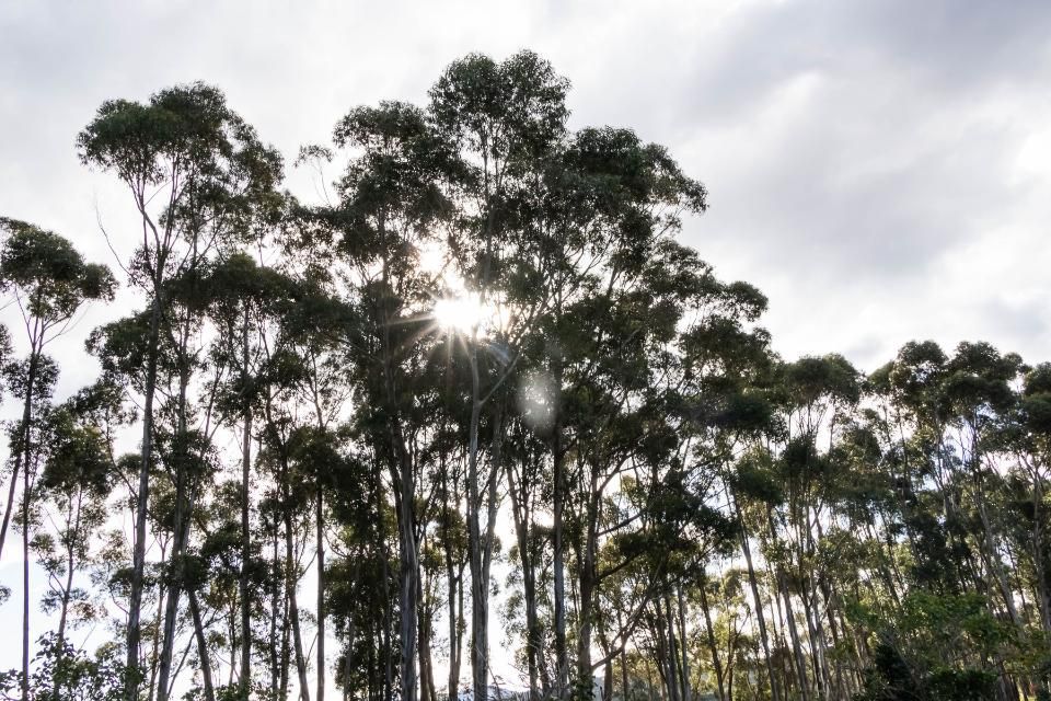 Little House on the Prairie