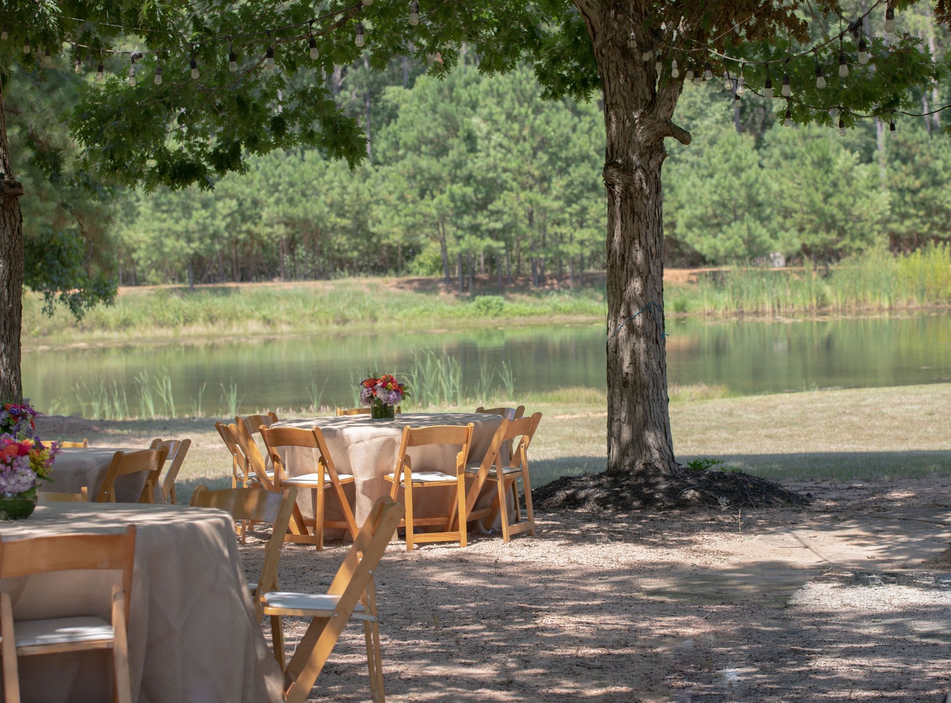 Outdoor dining tables set under trees, lake and trees in the background, daytime.