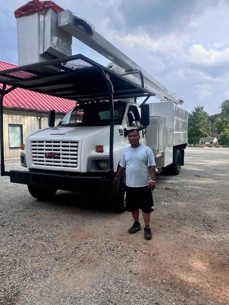 Tree Service Experts 6