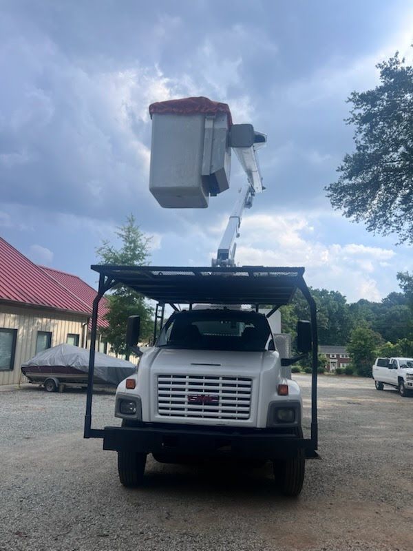 Tree Service Experts 8