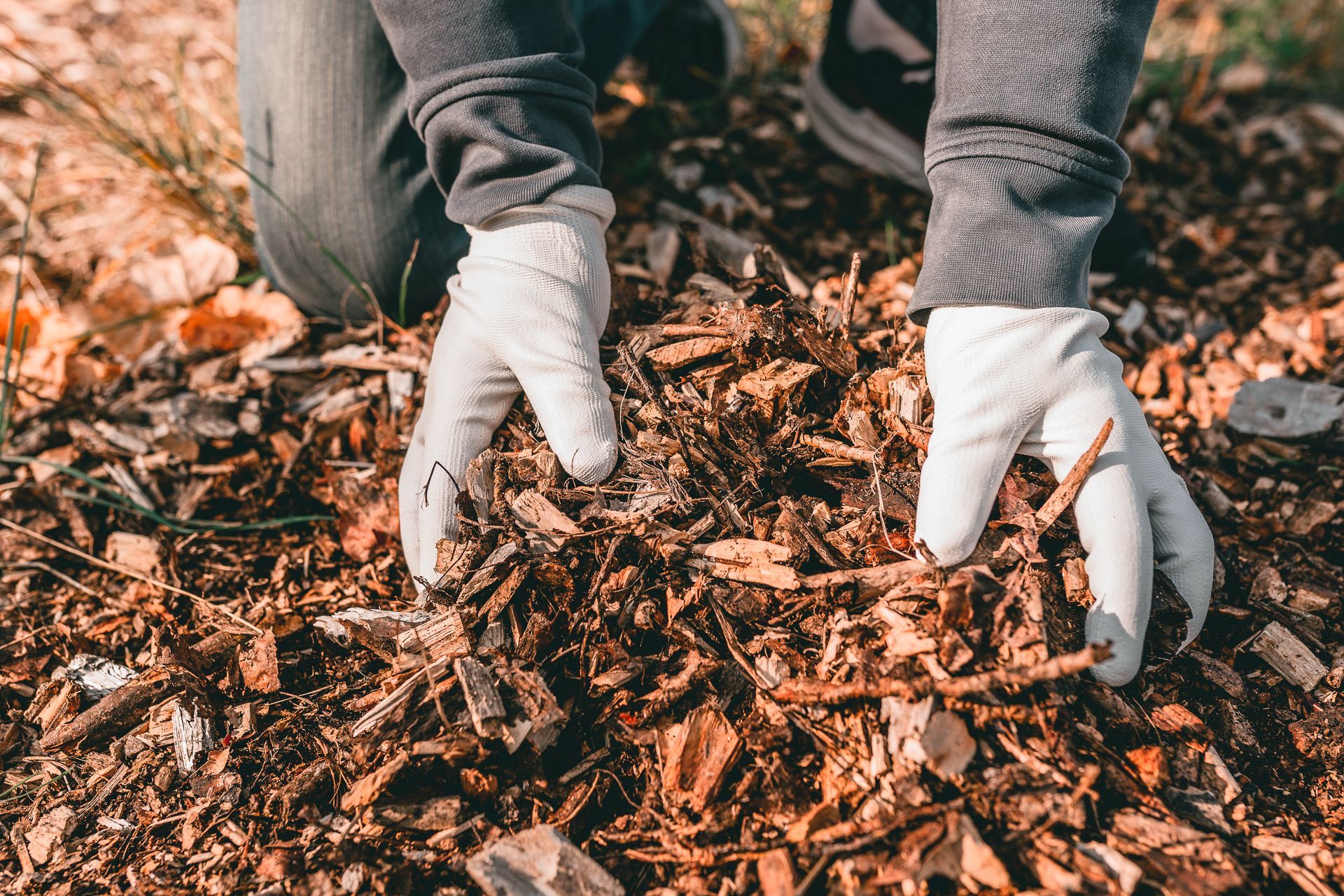 A person wearing white gloves is picking up wood chips from the ground.