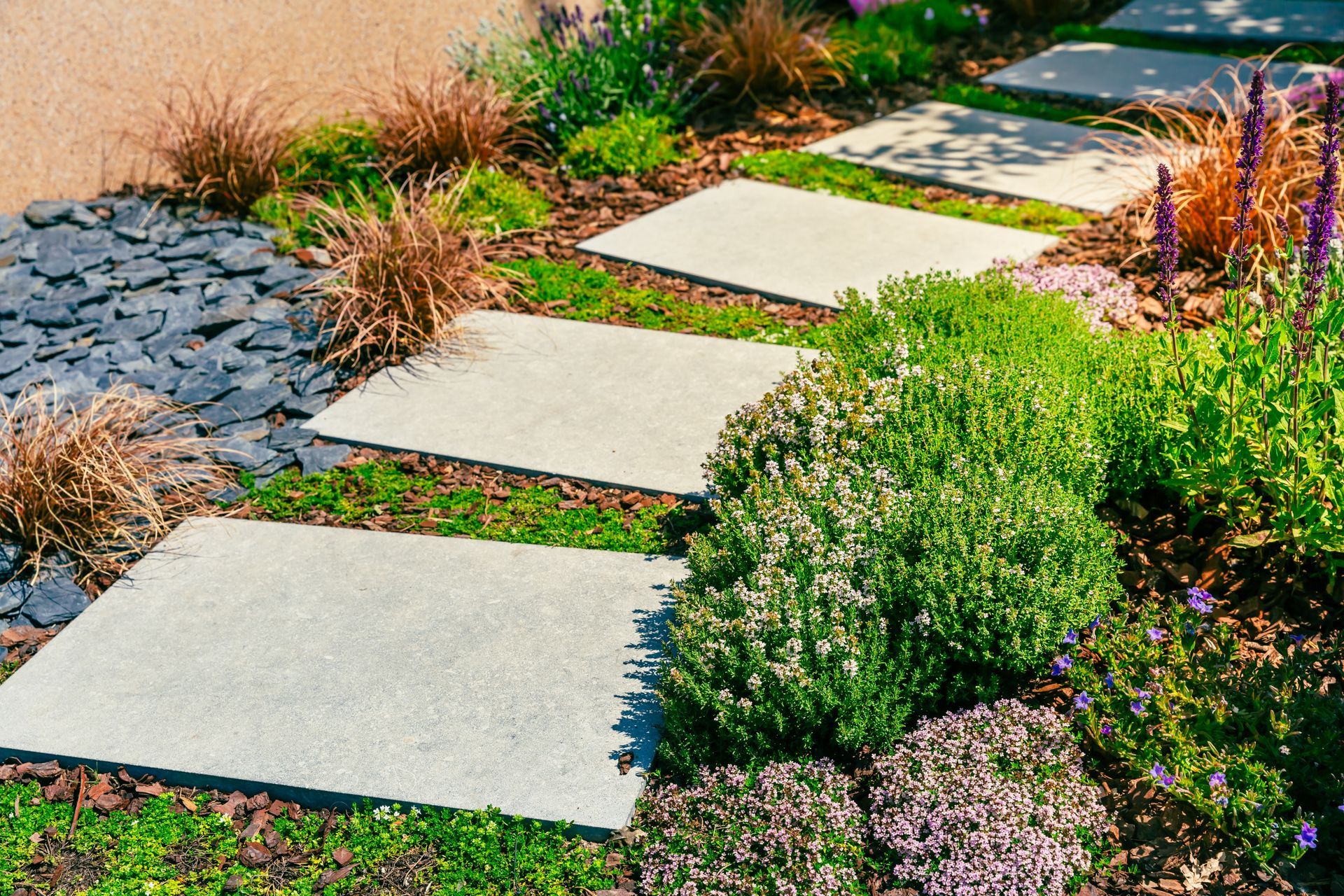 A row of concrete stepping stones in a garden surrounded by plants.