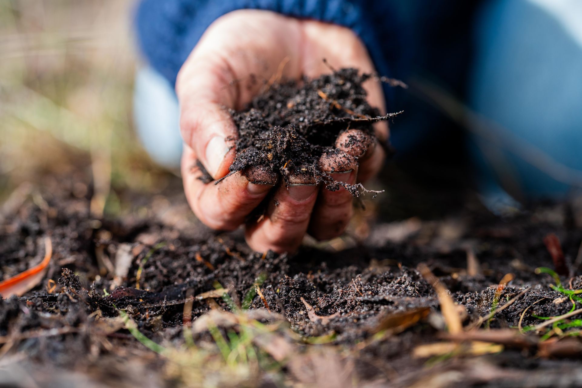 A person is holding a pile of dirt in their hands.