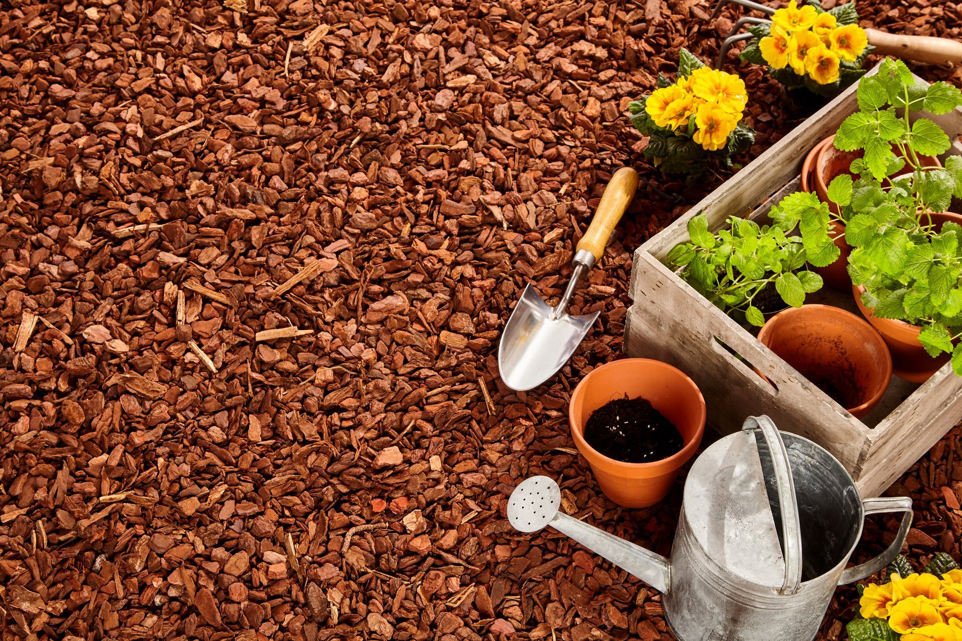 A wooden box filled with potted plants , a watering can , and a shovel.