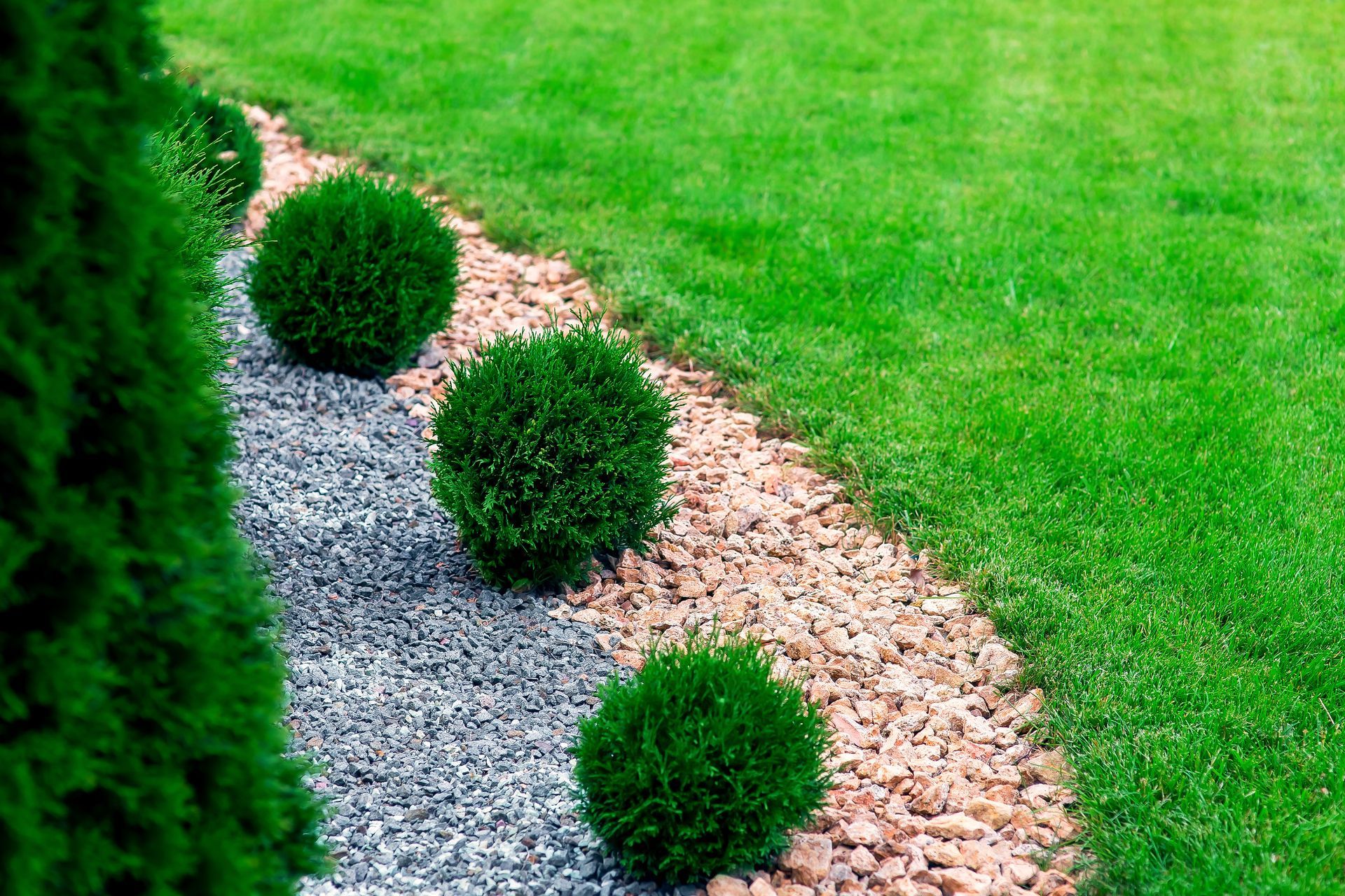 A lush green lawn with a path lined with rocks and bushes.