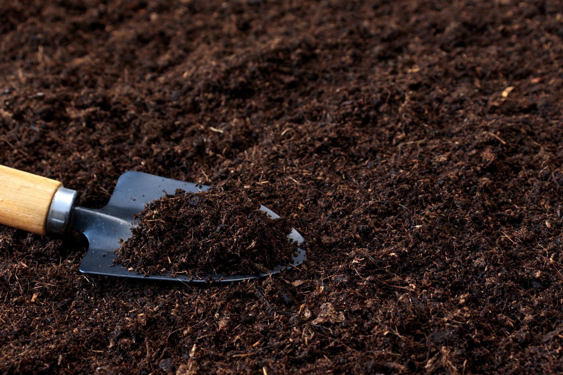 A shovel is sitting on top of a pile of dirt.