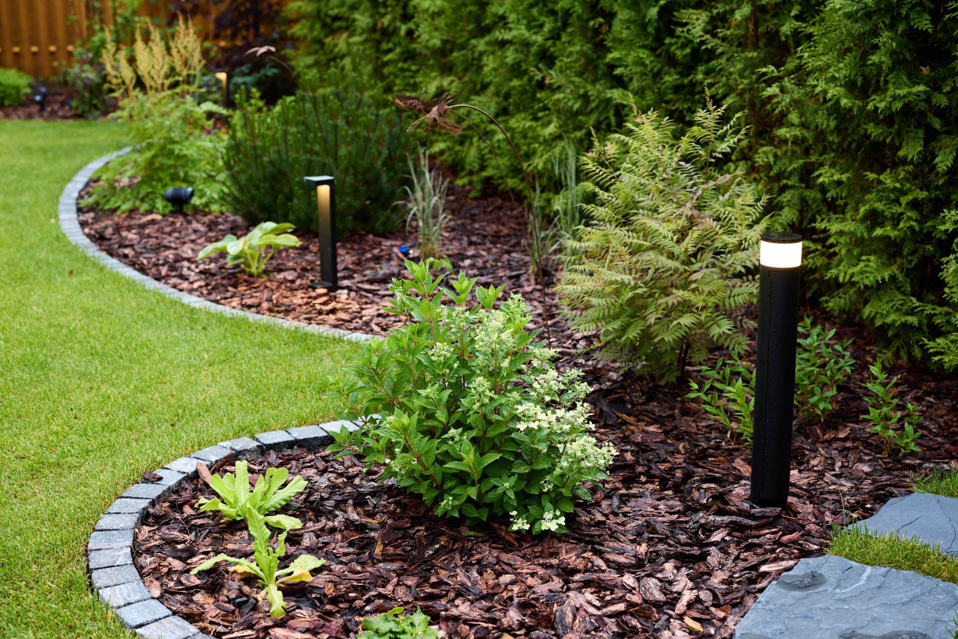 A garden with a lot of plants and trees and a few lights.