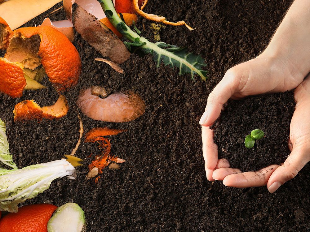 A person is making a circle with their fingers in the dirt.