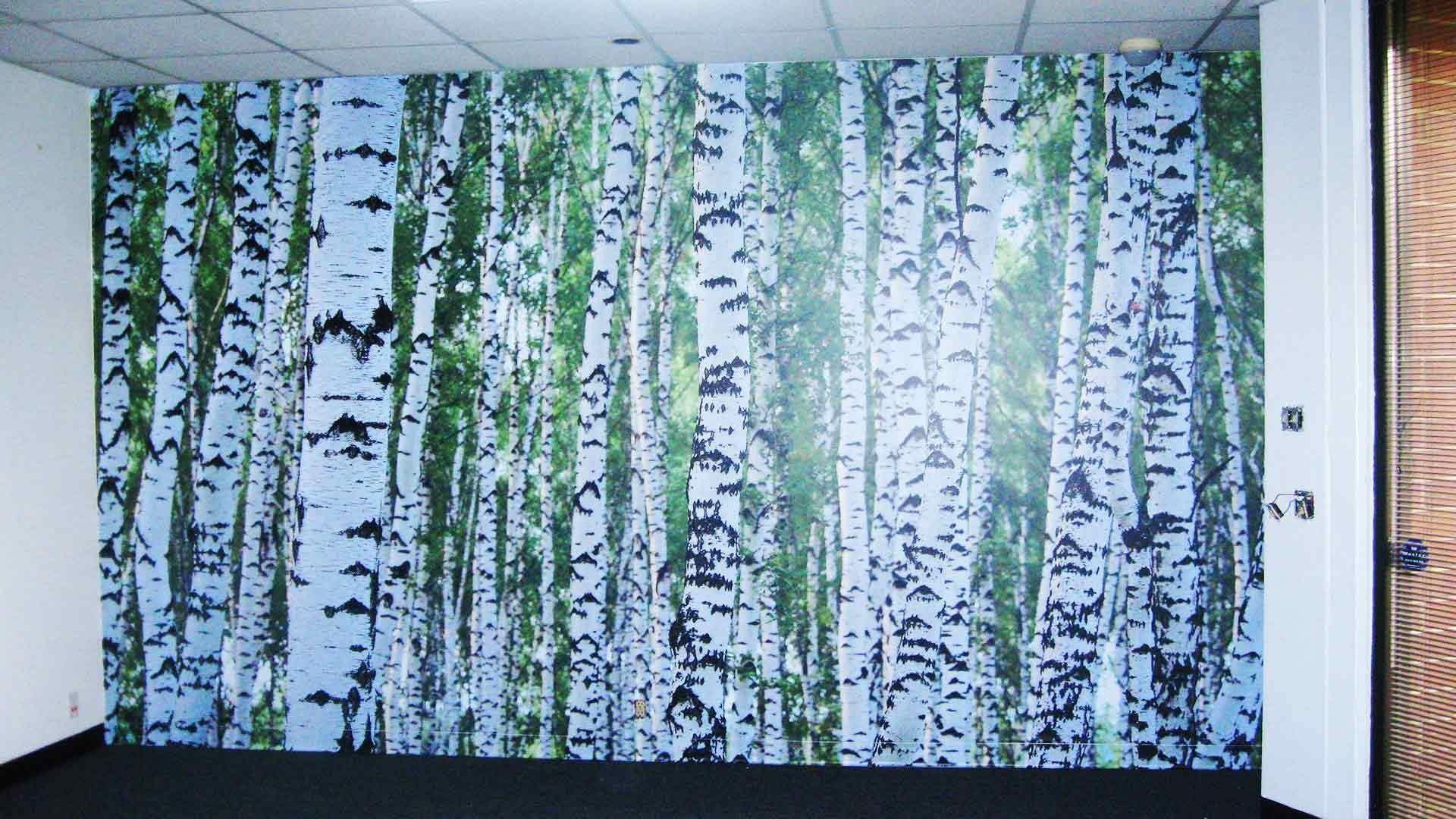 A floor-to-ceiling wall mural featuring a dense forest of white birch trees with dark markings and green foliage.