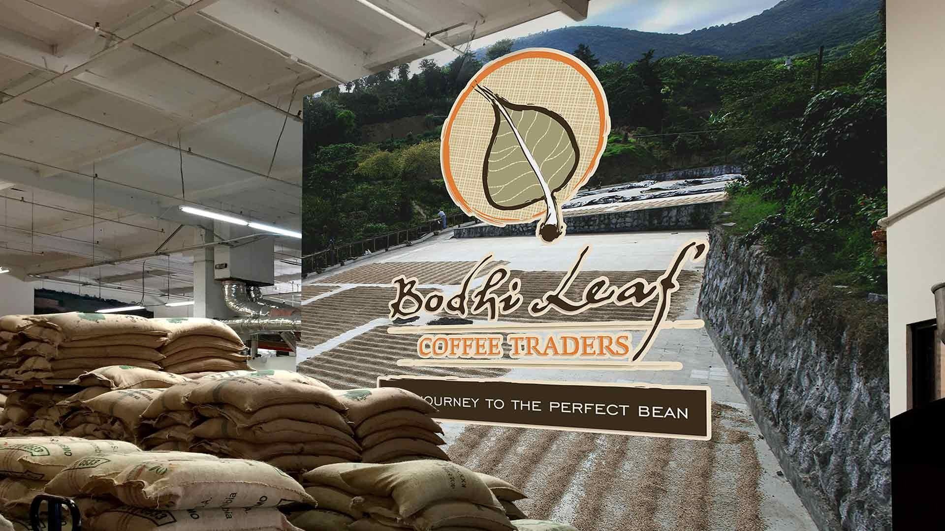 Stacks of burlap coffee bean sacks in a warehouse, overlaid with the Bodhi Leaf Coffee Traders logo and mountain scenery.