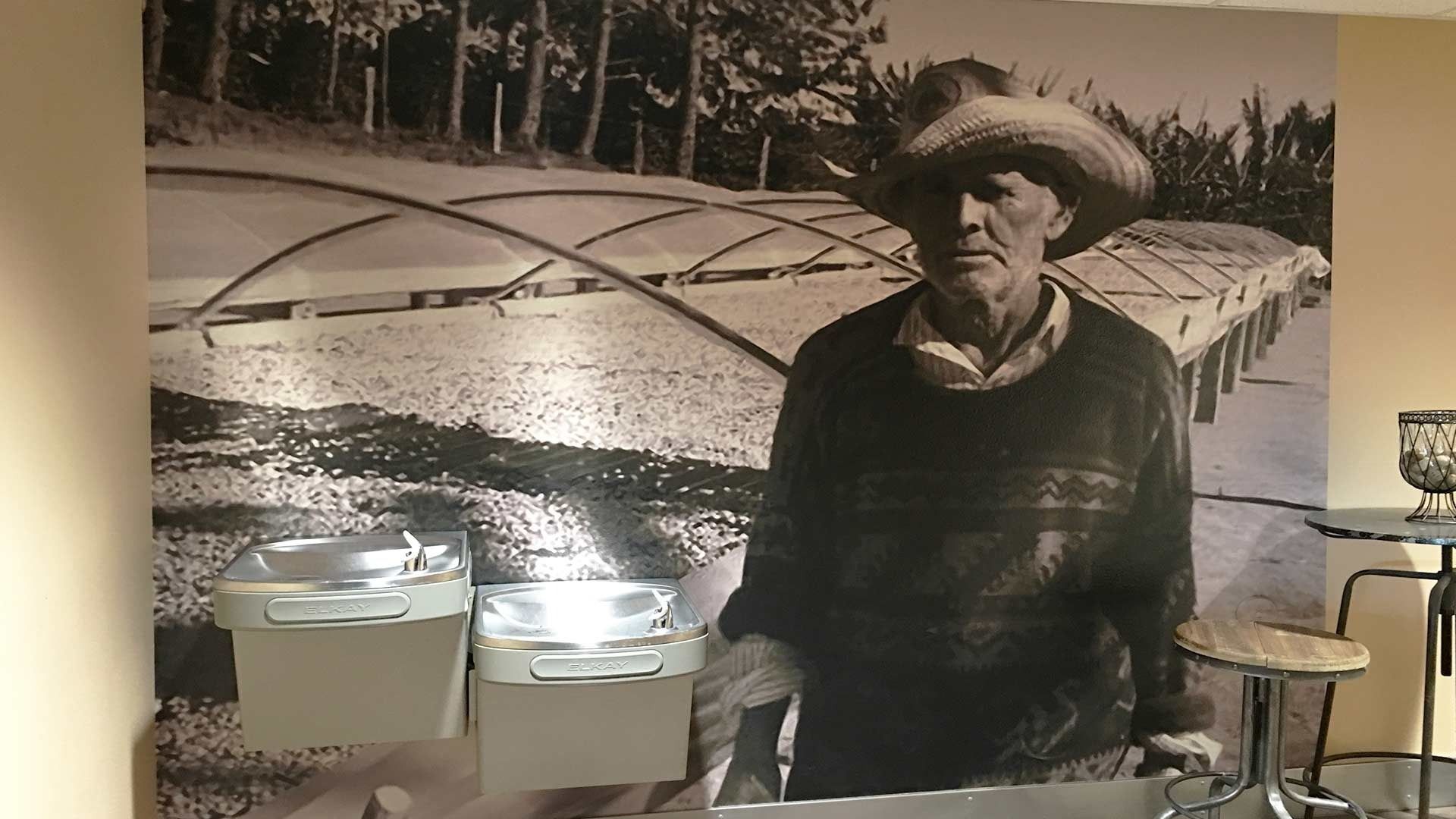 A large mural of a person in a hat and sweater standing in front of greenhouses, partially obscured by two light fixtures.