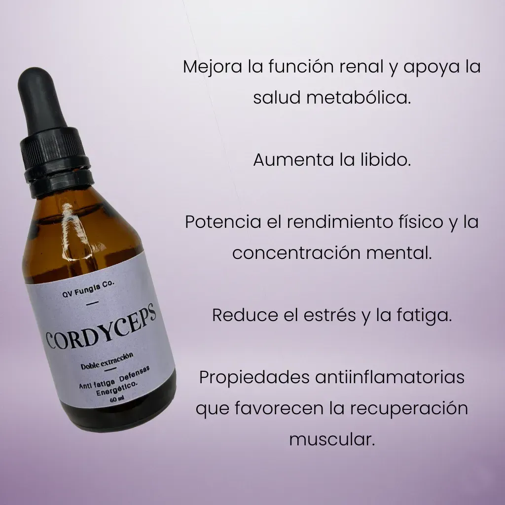 Botella de Cordyceps líquido, gotero y hongos secos sobre un pedestal. Texto superpuesto: 