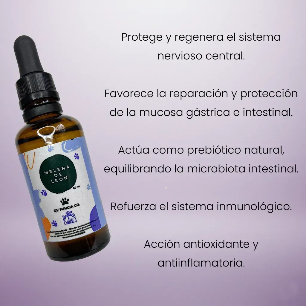 Botella de tintura “Melena de León” con seta sobre pedestal, sobre fondo lila.