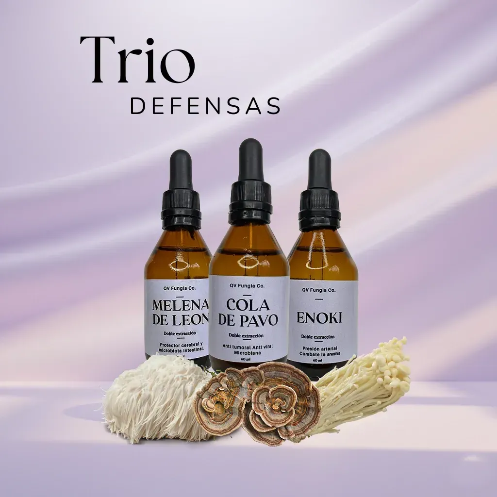 Tres frascos goteros marrones con suplementos de hongos.