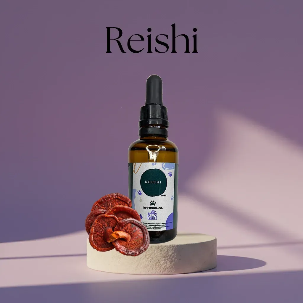 Botella de extracto de hongo Reishi con setas y pedestal sobre fondo morado.